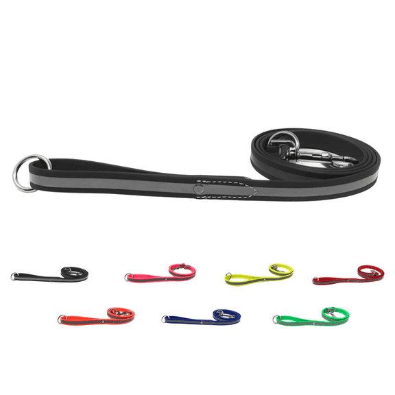 Regal Dog Products Reflective Leash 5 ft. Dog Leash with Easy to Use Collar Hook, Lightweight, and Training Pet Lead