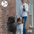 thumbnail image 3 of Dog Gone Smart I'm Gismo - Connectable, 3 of 4