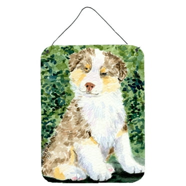 Carolines Treasures SS8847DS1216 Australian Shepherd Aluminium Metal Wall or Door Hanging Prints, 16" x 12", Multicolor