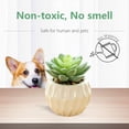 thumbnail image 4 of 2pcs artificial flower simulation succulent bonsai fashion creative small ornaments artificial flower simulation green plants - type:style3;, 4 of 5