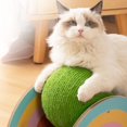 thumbnail image 4 of Rascador de entrenamiento de juguete interactivo para gatos para coches de Zulema Pelota para rascar gatos, 4 of 7