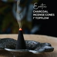 thumbnail image 3 of QUEST -100 Charcoal Incense Cones 1 Bulk Variety Set Assorted 10 Packs 10 Scents Lot, 3 of 6