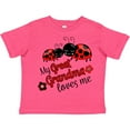 thumbnail image 3 of Inktastic My Great Grandma Loves Me with Cute Ladybugs Boys or Girls Toddler T-Shirt, 3 of 5
