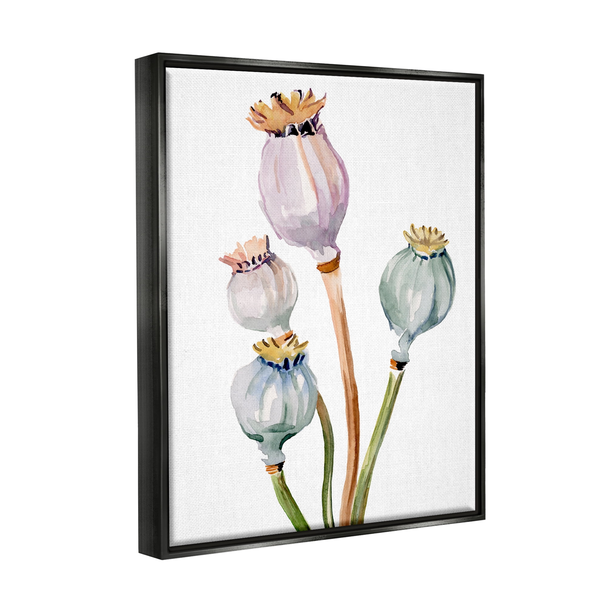 Stupell Industries Pastel Poppy Pods Watercolor Botanical & Floral Painting Black Floater Framed Art Print Wall Art