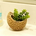 thumbnail image 4 of Clever Contraption Voronoi Artistic Succulent Planter Vase – Small, 4 of 9