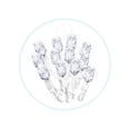 thumbnail image 2 of Serie Naviplastic Serie de 300L Led blanco y cable transparente, 2 of 2