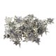 thumbnail image 2 of De Hadas De Plata De 50 Piezas, Cadena De Eslabones Cubanos Con Resultados De De Joyería Colgante, 2 of 9
