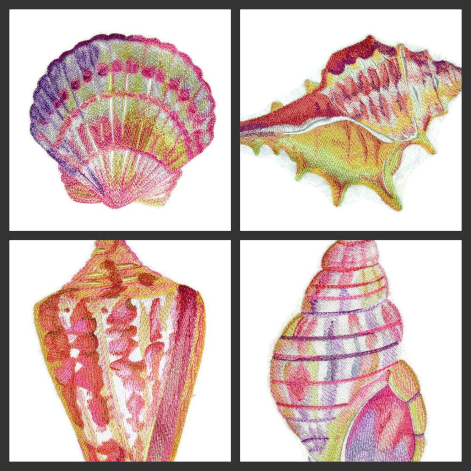BeyondVision Ocean Calling Custom And Unique[ Sea shell in Watercolor ] Embroidered Iron On/Sew patch [9.4" x5"]