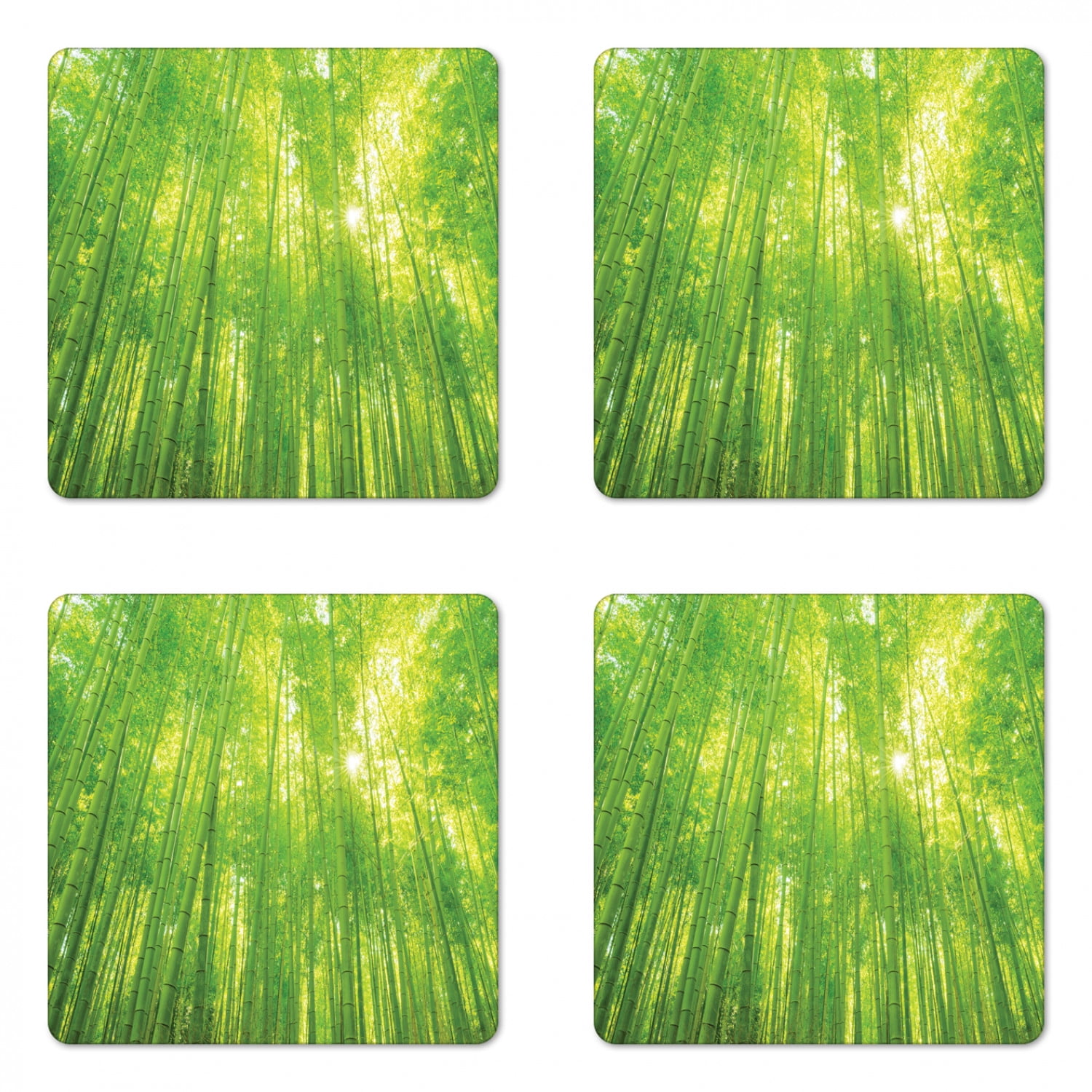 Bamboo Coaster Set of 4, Image of Bamboo Trees with Sun Rays in