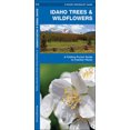 thumbnail image 4 of Idaho Trees & Wildflowers, James Kavanagh Paperback, 4 of 6