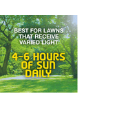 Vigoro 3 lbs. Tall Fescue Grass Seed Blend with Water Saver Seed Coating