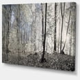 thumbnail image 2 of Design Art - Matin Sombre dans la Forêt Panorama, 2 of 2