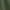 Army Green, variant on Puntoco Plus Size pants Clearance Womens Plus Size Comfy Drawstring Elastic Waist Pocket Loose Shorts Pants Green 12(XXL)
