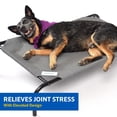 thumbnail image 3 of Cama para mascotas Coolaroo Original Elevated, extra grande, verde, 3 of 6