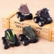 thumbnail image 5 of 2 piezas de juguete para coche de con ruedas grandes, para de 3 y niñas, de vehículos , aprendizaje preescola Yotijar Figuras de dinosaurio de juguete, 5 of 7