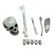 thumbnail image 1 of juego de calavera simulada para decoraciones de Halloween, 1 of 3