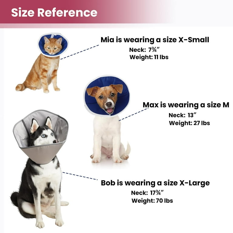 Neuter cone hot sale