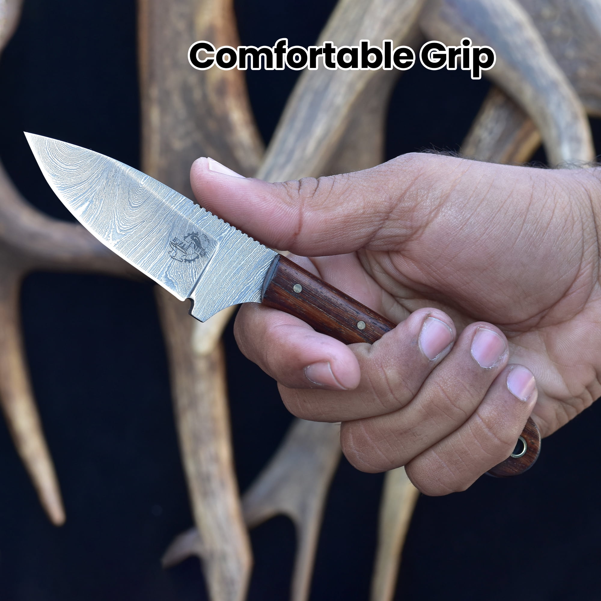 Knives Ranch 2011 Compact Damascus Steel Fixed Blade EDC Knife with Rosewood Handle – Durable Pocket Style Outdoor Knife for Camping, Hunting & Utility Tasks