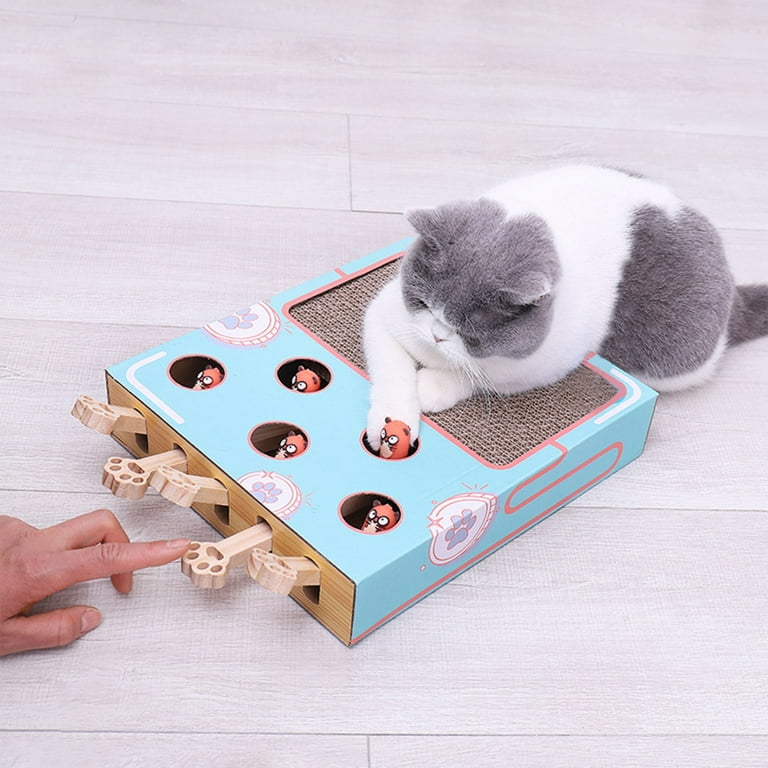 Hamster shop cat toy