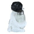thumbnail image 6 of Ebros Hugging Pooch Shih Tzu Glass Salt Pepper Shakers Holder Figurine 6"Tall, 6 of 10