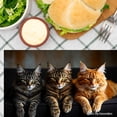 thumbnail image 3 of Joocar Cat Photography Placemat Set Of 4 For Home Kitchen Table Decor 12x18 inch Linen Table Mats Set Of 4 For Home Kitchen Table Decor 12x18 inch, 3 of 5