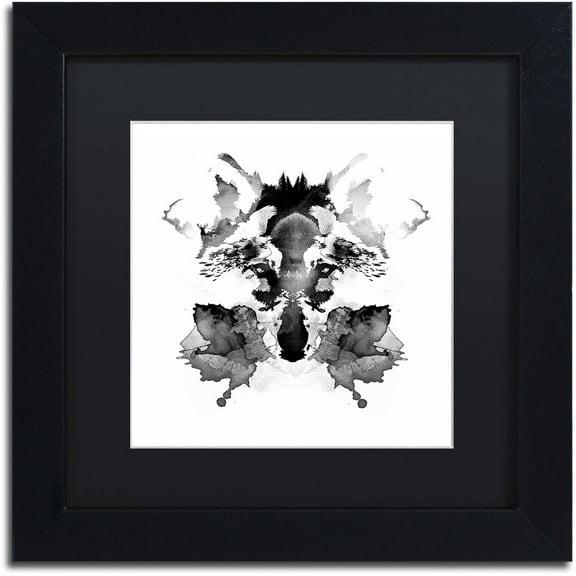 Trademark Fine Art 'Rorschach' Canvas Art by Robert Farkas, Black Matte, Black Frame
