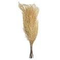 thumbnail image 3 of Vickerman 26" Bleached Fern - Andares, 4 oz per pack, Dried, 3 of 6