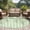 SpringGreen LightGreen, variant on Area Rug for Living Room, Green Eucalyptus Leaves Non-Slip Indoor Large Carpet for Bedroom/Dining Room, Spring Floral Weeping Farmhouse Washable Low-Profile Rectangle Floor Mat Runner Rugs - 3 x 5 Ft