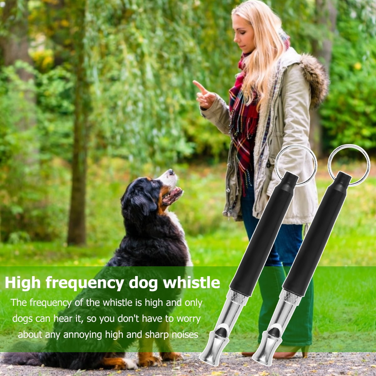 What Frequency Can Only Dogs Hear