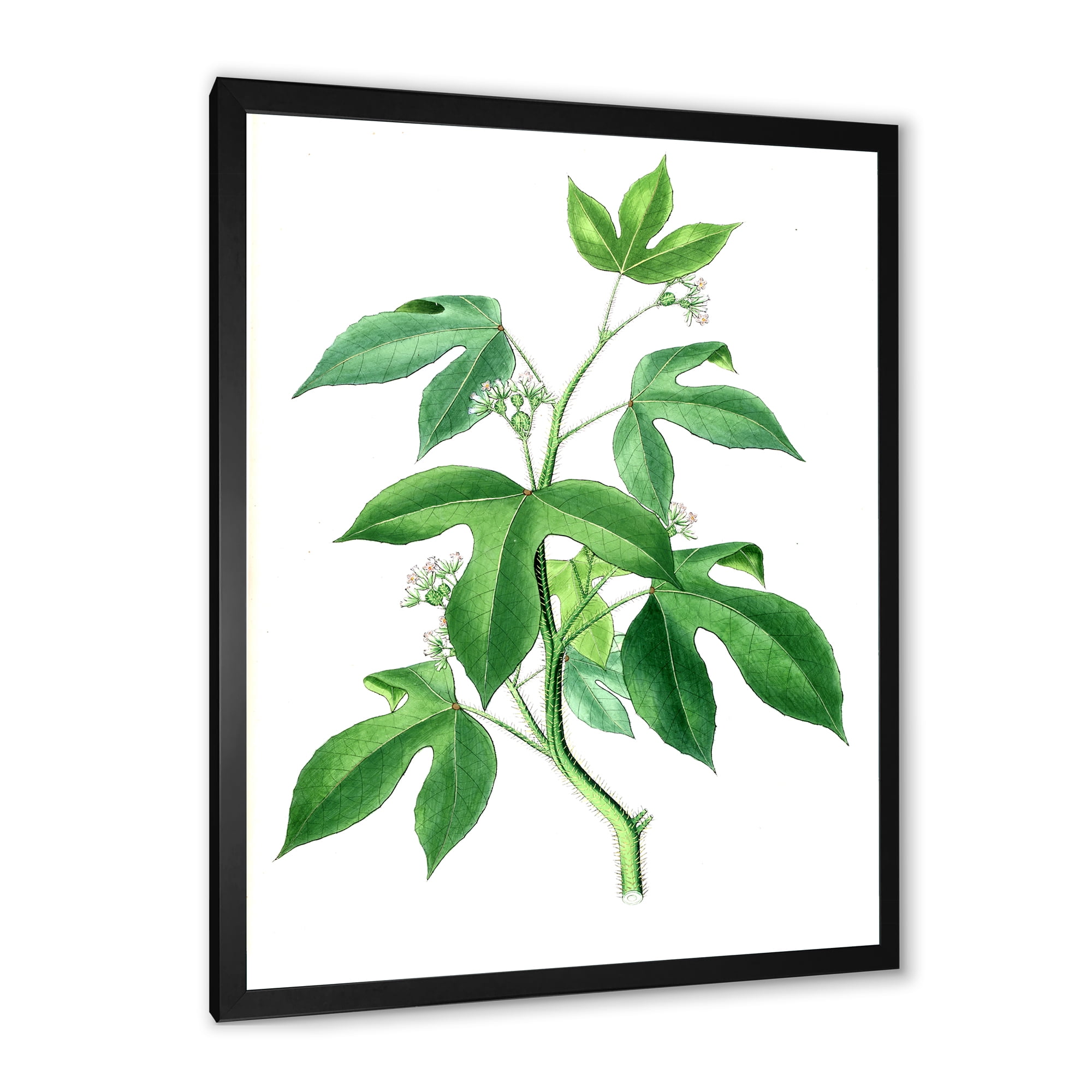 Designart 'Ancient Green Leaves Plants V' Traditional Framed Art Print