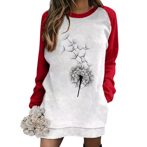 ManHanLi Women Dandelion Print Round Neck Raglan Long Sleeve Top