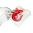thumbnail image 5 of Dissect-It  la salamandre, 5 of 5