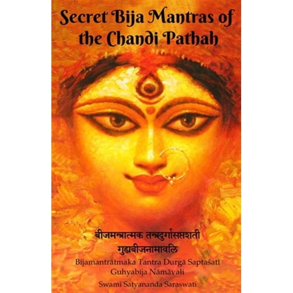 Pre-Owned Secret Bija Mantras of the Chandi Pathah: Bijamantratmaka Tantra Durga Saptasati Guyabija Namavali Paperback