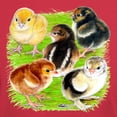 thumbnail image 3 of CafePress - Five Chicks Dark T Shirt - Men's Classic Graphic Cotton T-Shirt, 3 of 4