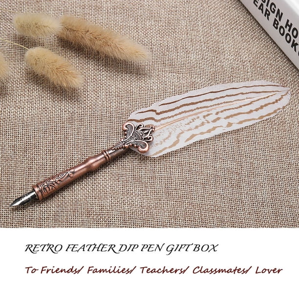Pluma estilográfica retro Nikou clásica retro con caja de regalo 3 puntas de inmersión