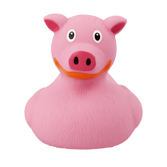 Pig Rubber Duck