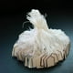 thumbnail image 2 of Etiquetas de Precio de Cadena 500 Piezas Sunnimix Etiquetas de Precio de Cadena, 2 of 8