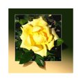 thumbnail image 1 of Wdftyju DIY taladro completo redondo diamante pintura flor amarilla taladro completo para manualidades de pared Wdftyju 6qw8fm9rf2lv1ad0, 1 of 9