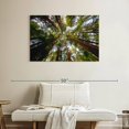 thumbnail image 2 of Elephant Stock Muir Wood California Redwoods Wall Art - Horizontal Canvas Wall Art - Living Room Wall Decor - Floral And Botanical Canvas - Gray And Beige Decor - 39" x 26", 2 of 4