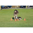thumbnail image 3 of TRIXIE Dog Agility Hurdle Cone Set, Portable Canine Agility Training Set, 6 Exercise Cones with 3 Agility Rods, 3 of 9