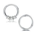 thumbnail image 2 of Septum Clicker Pack of 2 Perfect to Cartilage Tragus Rook Piercings 16g, 2 of 12