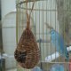 thumbnail image 4 of FOMIYES Casita Para Pájaros De Ratán Ideal Para De Jardín, 4 of 8