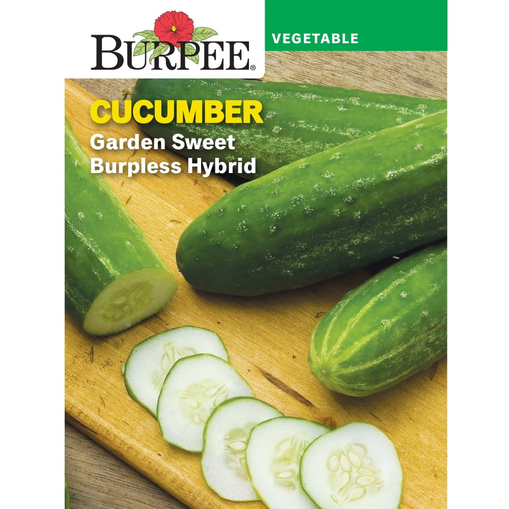 Burpee Garden Sweet Burpless Hybrid Cucumber Vegetable Seed, 1-pack
