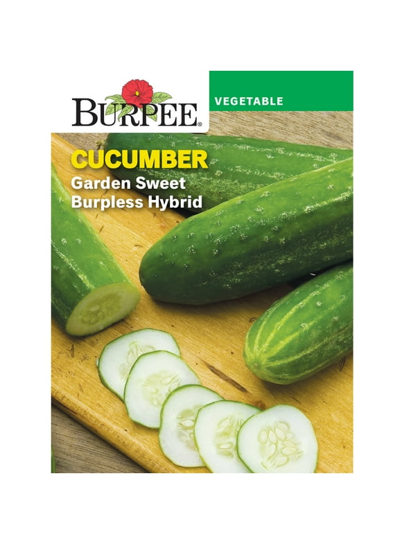 Cucumber Seeds in Seed Gardening