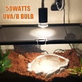 thumbnail image 4 of Bombilla UVB para reptiles Fischuel, 50 W, 2 unidades, para terrario, 110 V, 4 of 6