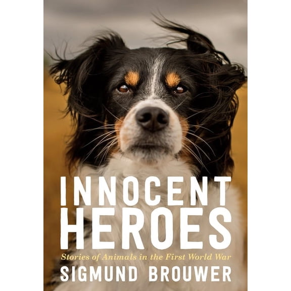 Innocent Heroes: Stories of Animals in the First World War (Paperback)