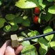 thumbnail image 4 of High Pressure Brass Connection 3/4 Inch Female To 1/4 Inch Male Bolted Garden Hose Adapter, 4 of 4