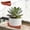 Red #t86, variant on Japceit Modular Garden Pot Feet Pads, Breathable Plant Pot Risers for Drainage, Ventilated Base Lifters to Prevent Root Rot, Stackable Elevator Stands for Balcony, Patio, Indoor Plants
