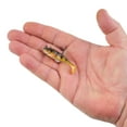 thumbnail image 5 of PowerBait® Agent E, 5 of 6