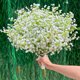 thumbnail image 3 of Cateissary 10 Uds. Flores artificiales realistas de Gypsophila para un toque de belleza decoración del hogar ramo de boda Decoración, 3 of 6